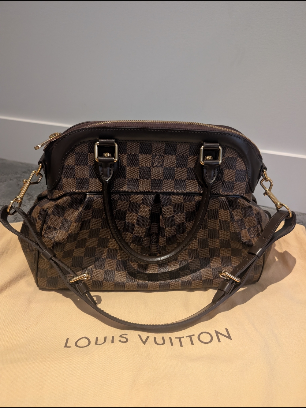 Louis Vuitton Trevi PM